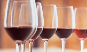 메를로 Merlot