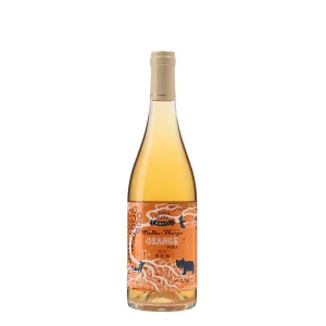 오렌지 와인 orange wine