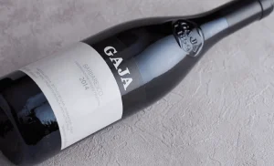 네비올로 Nebbiolo 포도 품종