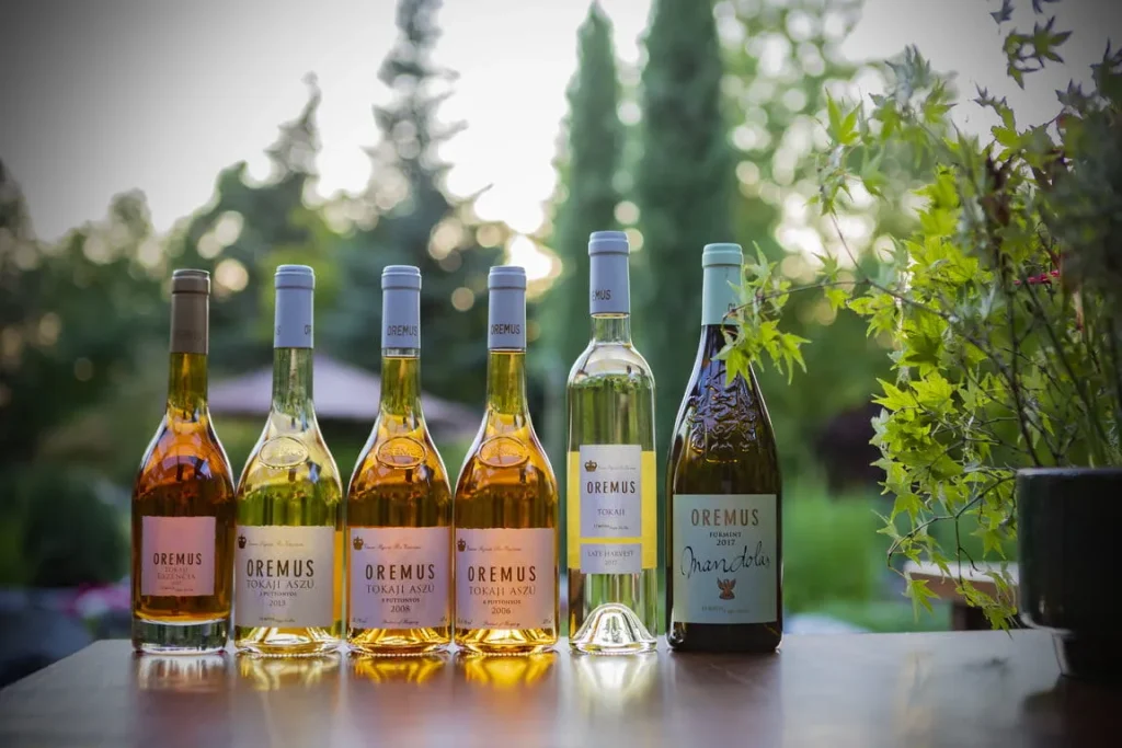 Tokaji wine 토카이 와인