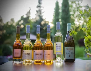 Tokaji wine 토카이 와인