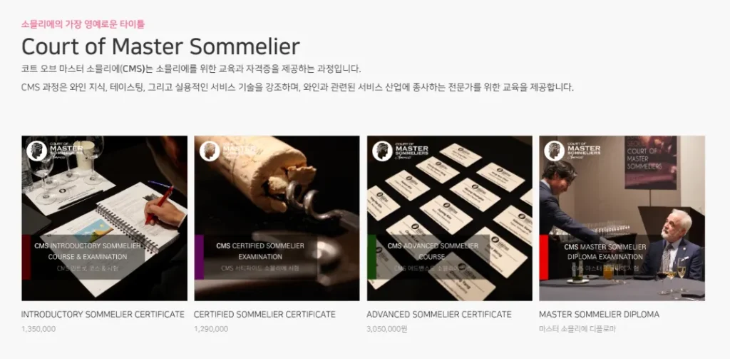 와인 비전 아카데미