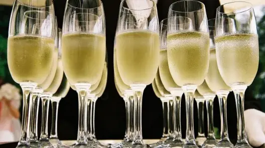 샴페인 스파클링 와인